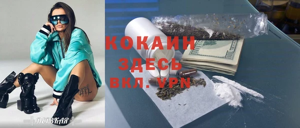 крисы Абаза