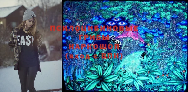 крисы Абаза