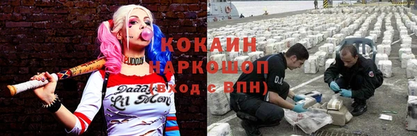 мяу мяу мука Покачи