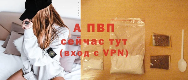 крисы Абаза