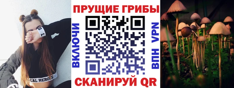 Галлюциногенные грибы Psilocybine cubensis  Болохово 